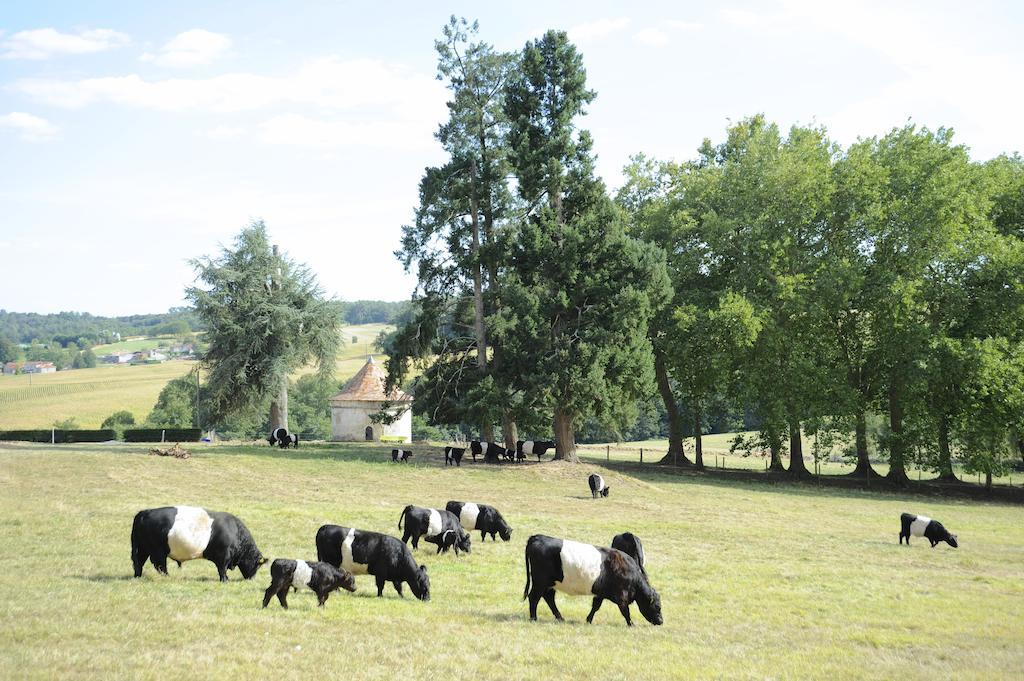 Chateau De Lerse Bed and Breakfast Perignac  Εξωτερικό φωτογραφία